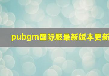 pubgm国际服最新版本更新