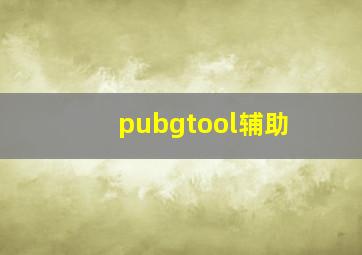 pubgtool辅助