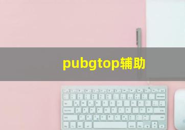 pubgtop辅助