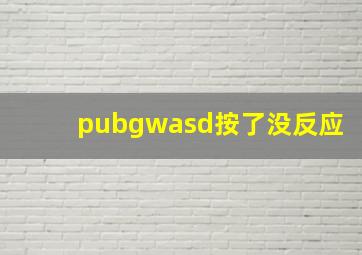 pubgwasd按了没反应