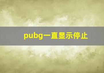 pubg一直显示停止