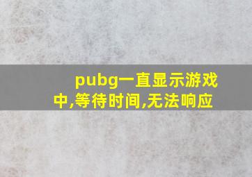 pubg一直显示游戏中,等待时间,无法响应