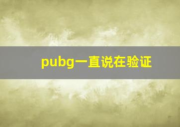 pubg一直说在验证