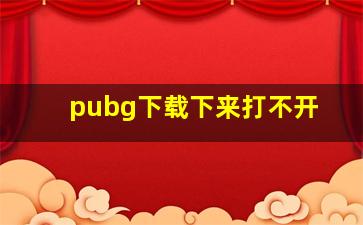 pubg下载下来打不开