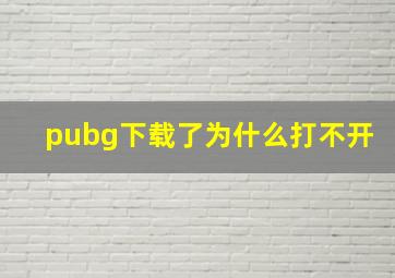 pubg下载了为什么打不开