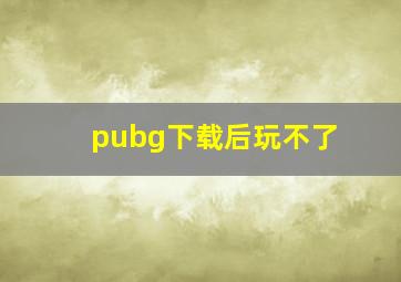 pubg下载后玩不了