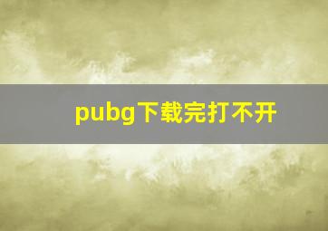 pubg下载完打不开