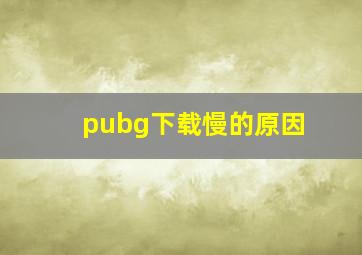 pubg下载慢的原因