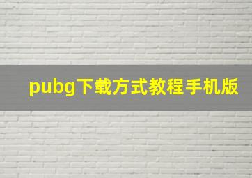 pubg下载方式教程手机版