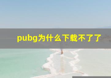 pubg为什么下载不了了