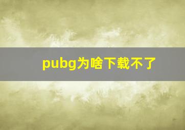 pubg为啥下载不了