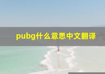 pubg什么意思中文翻译