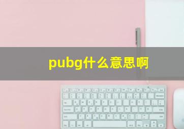 pubg什么意思啊