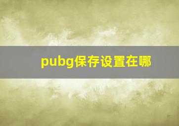 pubg保存设置在哪