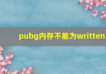 pubg内存不能为written