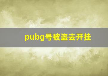 pubg号被盗去开挂