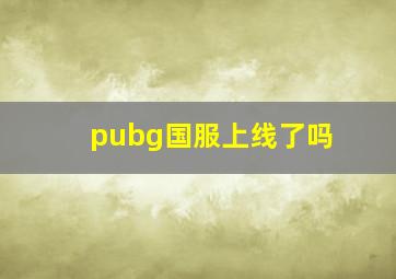 pubg国服上线了吗