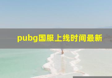 pubg国服上线时间最新