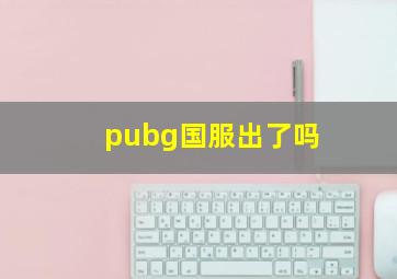 pubg国服出了吗