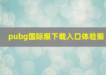 pubg国际服下载入口体验服