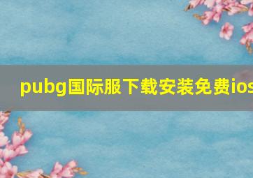 pubg国际服下载安装免费ios