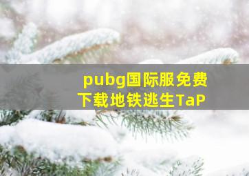 pubg国际服免费下载地铁逃生TaP