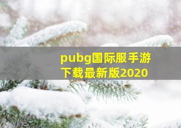 pubg国际服手游下载最新版2020