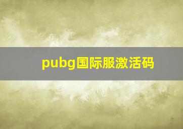 pubg国际服激活码