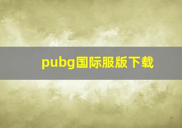 pubg国际服版下载