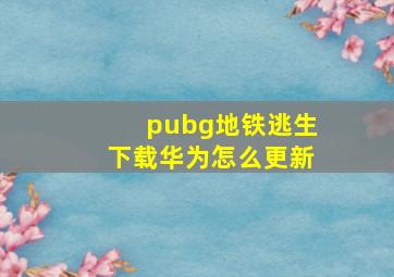 pubg地铁逃生下载华为怎么更新