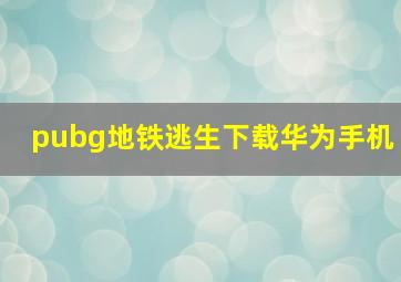 pubg地铁逃生下载华为手机