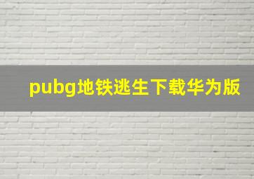 pubg地铁逃生下载华为版