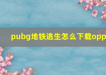 pubg地铁逃生怎么下载oppo