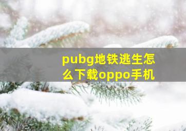 pubg地铁逃生怎么下载oppo手机