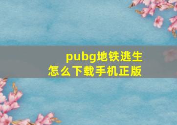 pubg地铁逃生怎么下载手机正版