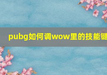 pubg如何调wow里的技能键位