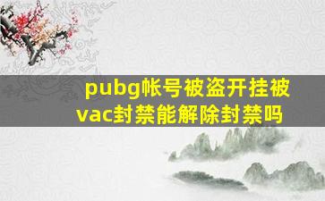 pubg帐号被盗开挂被vac封禁能解除封禁吗