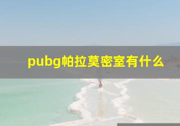 pubg帕拉莫密室有什么