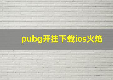 pubg开挂下载ios火焰