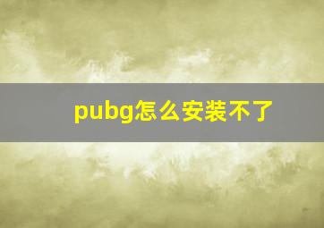 pubg怎么安装不了