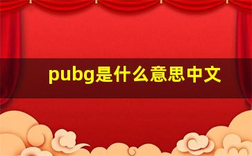 pubg是什么意思中文