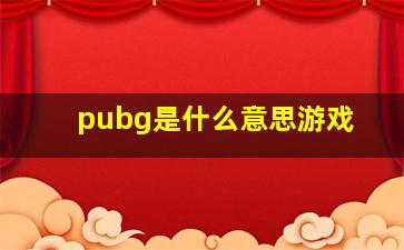 pubg是什么意思游戏