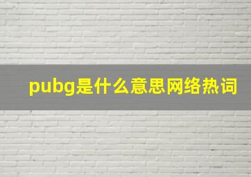 pubg是什么意思网络热词