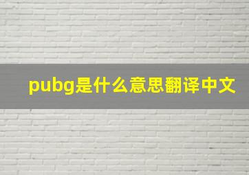 pubg是什么意思翻译中文