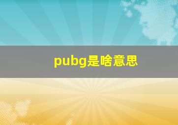 pubg是啥意思