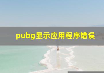 pubg显示应用程序错误