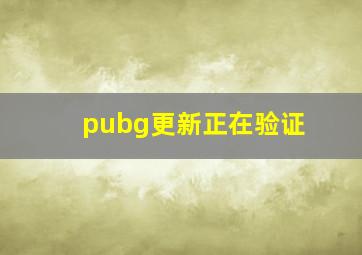 pubg更新正在验证