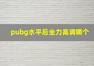 pubg水平后坐力高调哪个