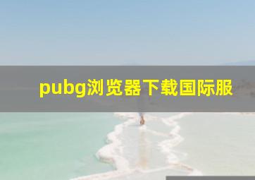 pubg浏览器下载国际服