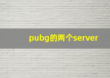 pubg的两个server